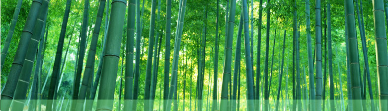 Think Green Media